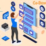 Co-Development Software